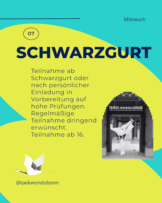 Schwarzgurttraining im Taekwon-Do Bonn